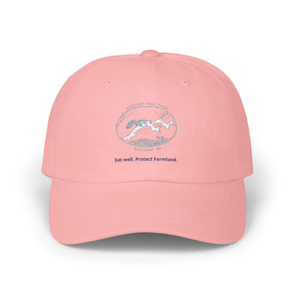 Academy Mill Farm Cap