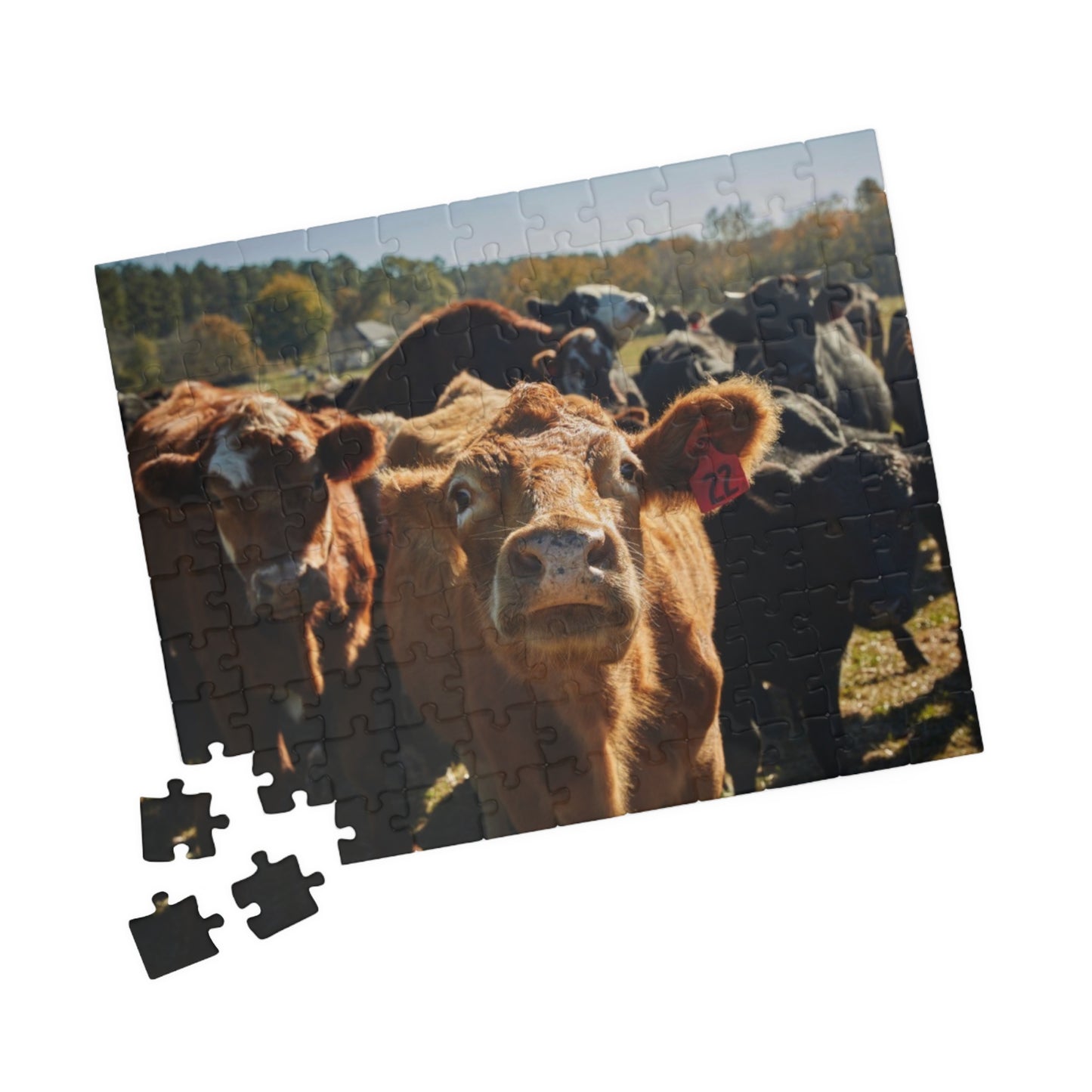 Puzzle (110, 252, 520, 1014-piece)