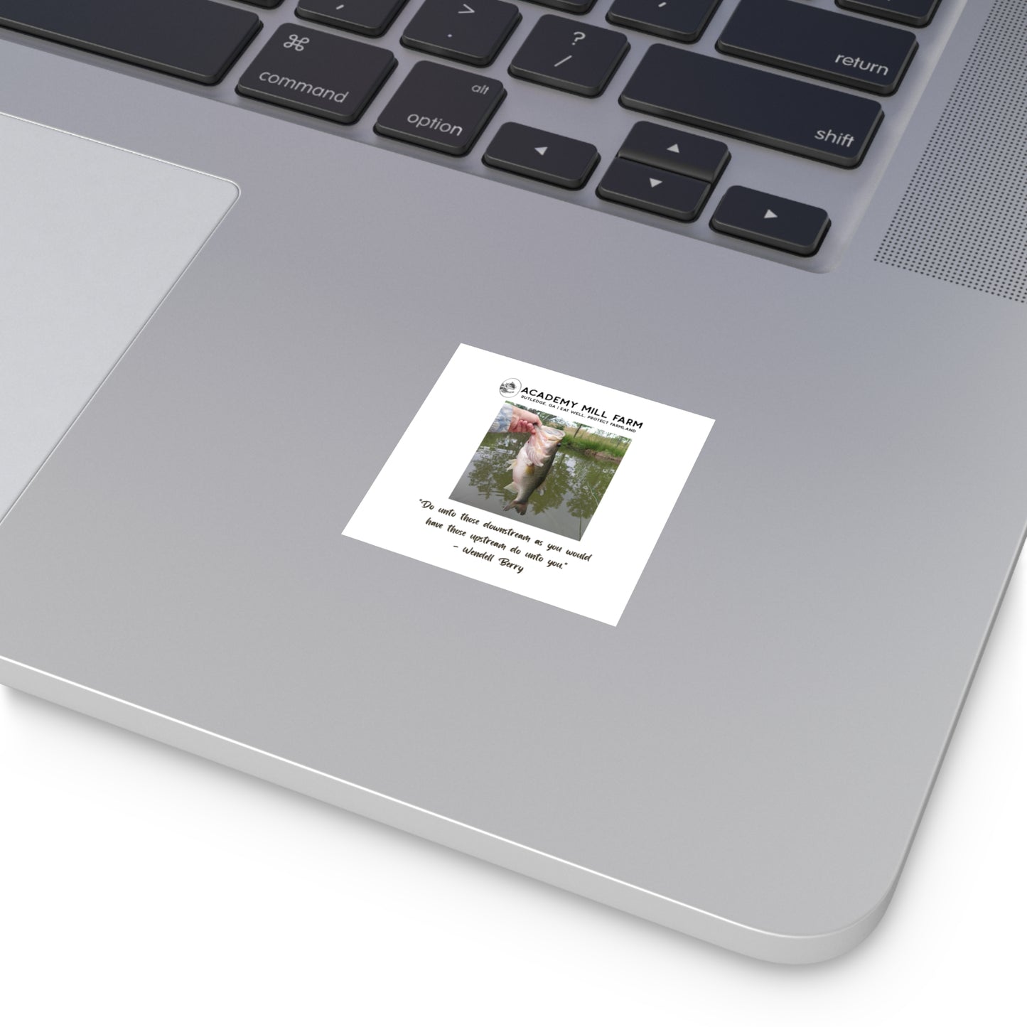 Fish - AMF Square Vinyl Stickers