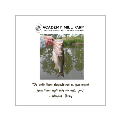 Fish - AMF Square Vinyl Stickers