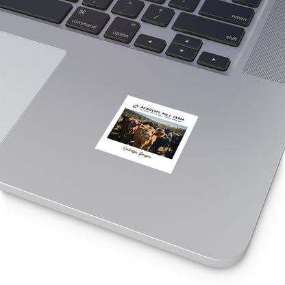 AMF Square Vinyl Stickers