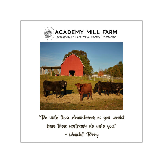 AMF It's a Whole Moooood Vinyl Stickers