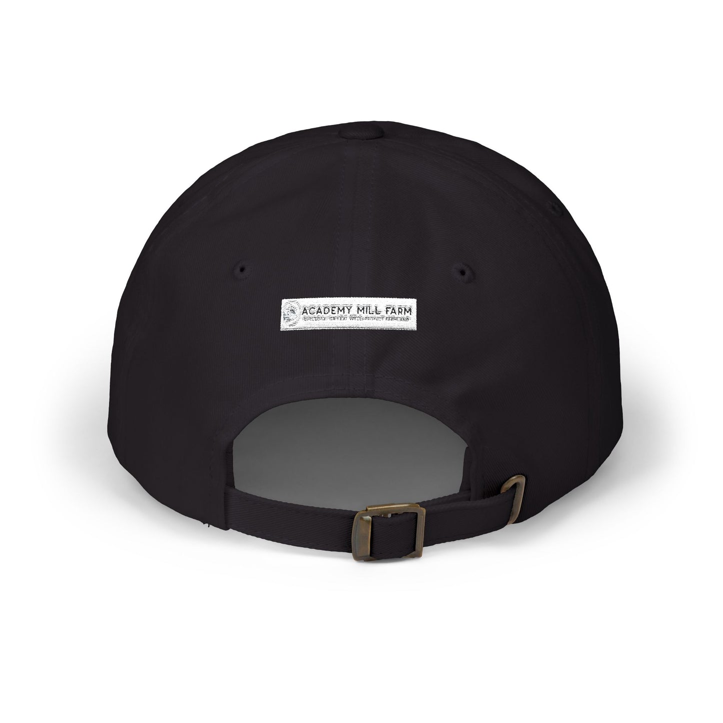 Academy Mill Farm Cap