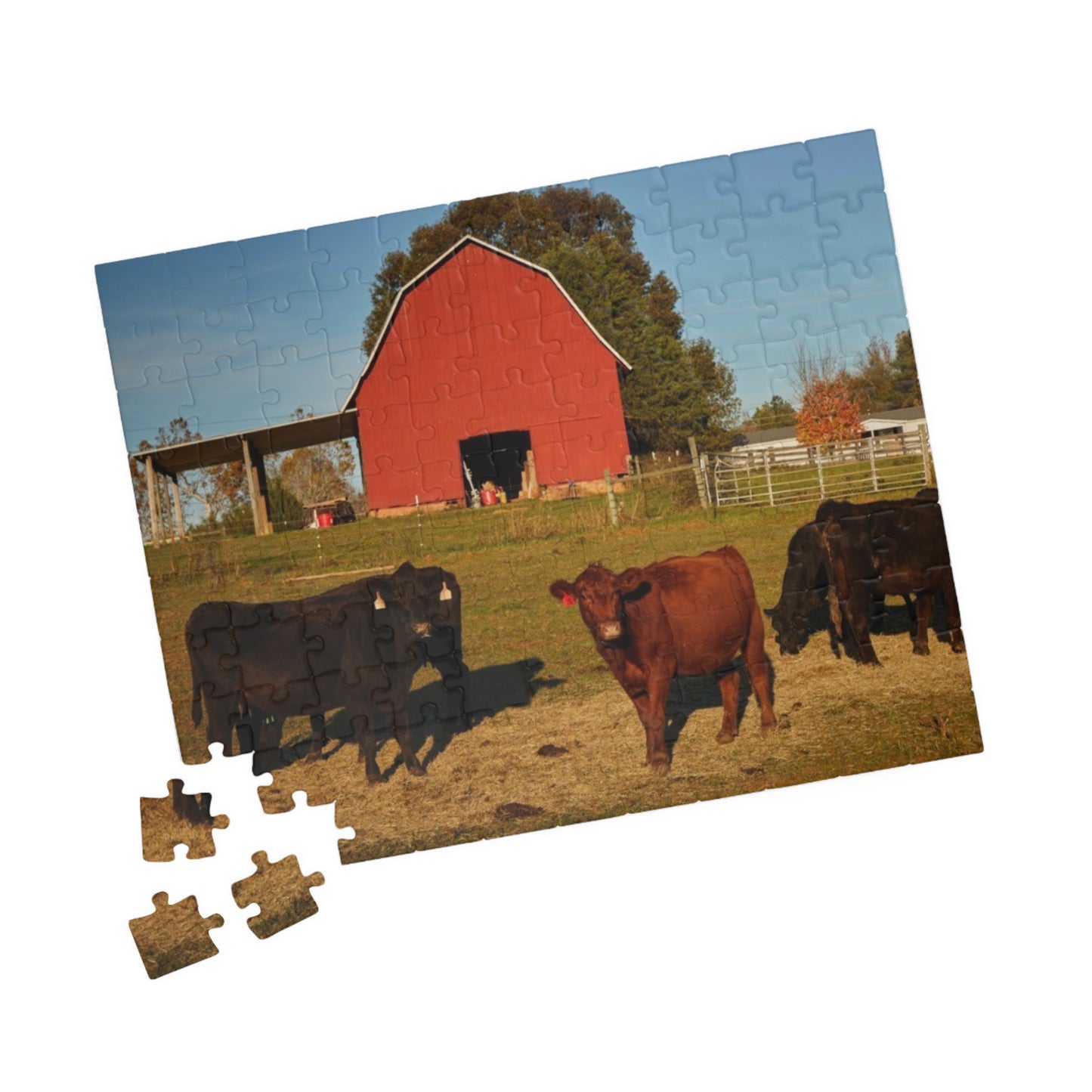 AMF Barn Puzzle (110, 252, 520, 1014-piece)