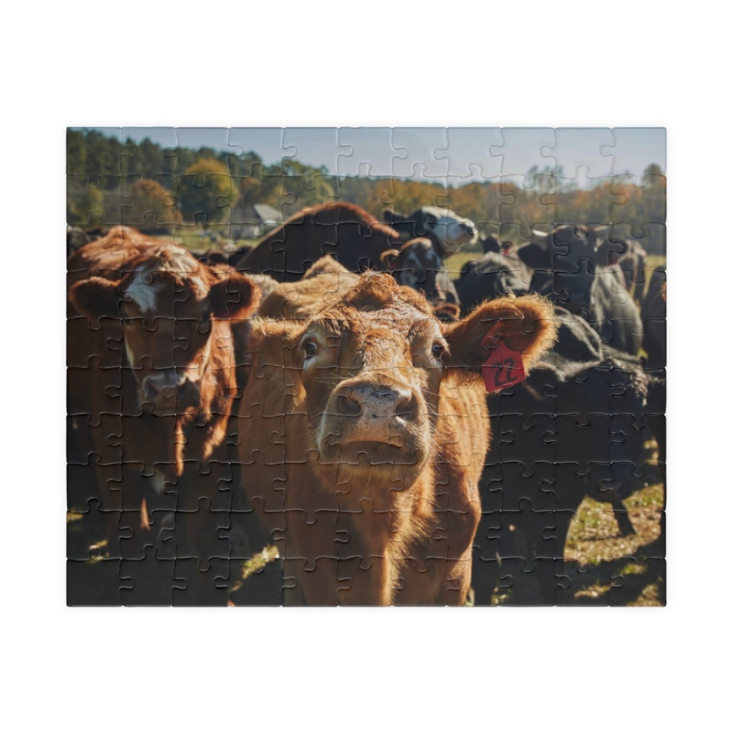 Puzzle (110, 252, 520, 1014-piece)