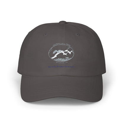 Academy Mill Farm Cap