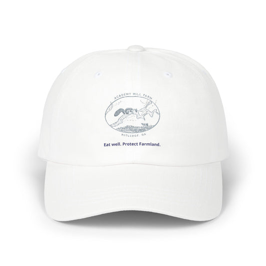 Academy Mill Farm Cap