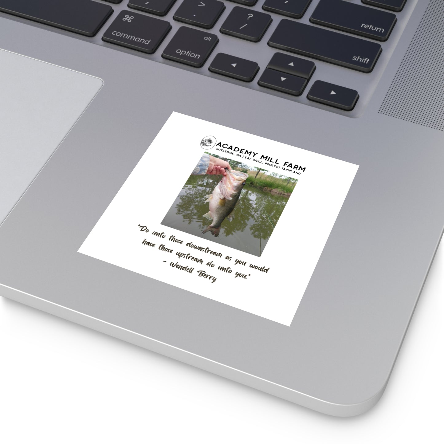 Fish - AMF Square Vinyl Stickers