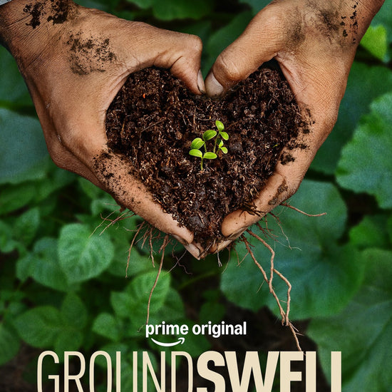 Groundswell Film Trailer